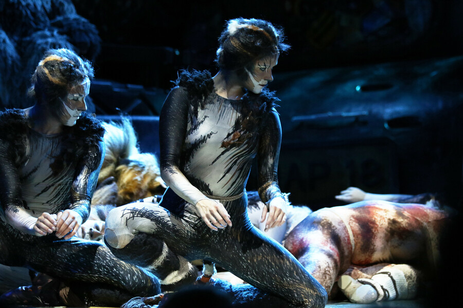 RCI Oasis Class Theatre CATS 0.jpg